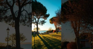 Marseille baignée de soleil ce dimanche exceptionnel