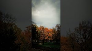 Marseille : une journée douce sous un ciel énigmatique