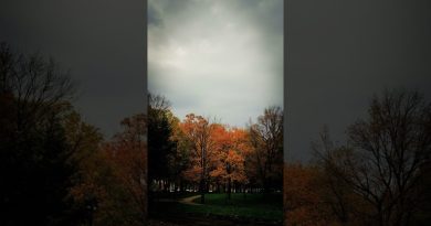 Marseille : une journée douce sous un ciel énigmatique