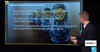 "Matriochka" : l'opération de désinformation russe a encore frappé