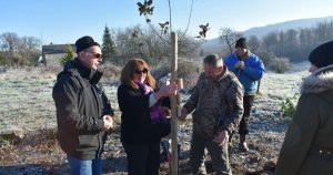 Mattstall. Des arbres fruitiers ont été plantés dans le village