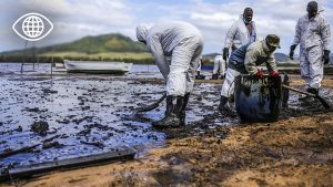Méditerranée : vers une mer morte d'ici 20 ans ?