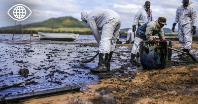 Méditerranée : vers une mer morte d'ici 20 ans ?