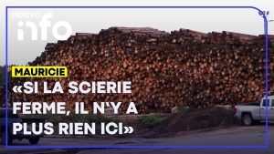 Menace sur Parent : la crise de l'industrie forestière
