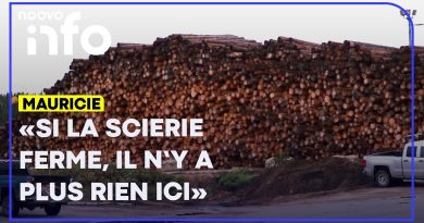 Menace sur Parent : la crise de l'industrie forestière