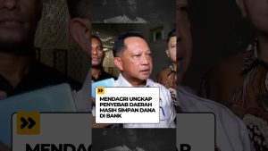 Mendagri Tito Karnavian révèle pourquoi des régions gardent des fonds