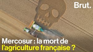 Mercosur : l'accord commercial qui divise la France