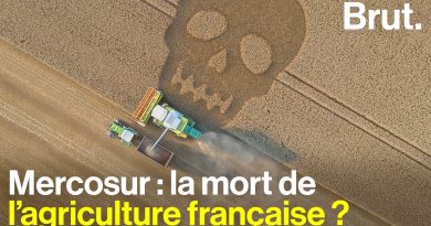 Mercosur : l'accord commercial qui divise la France