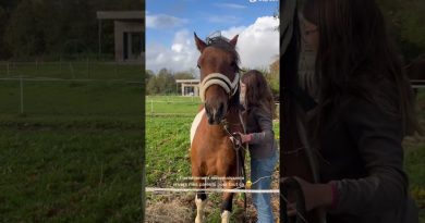 Mes grands-parents : un amour inestimable ❤️