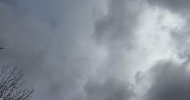 Météo : de la neige attendue dans le Centre-Val de Loire cette semaine ?