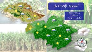 Météo pour les agriculteurs : Prévisions agricoles au Pakistan