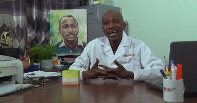 Metherfa Plus : une solution naturelle contre le paludisme