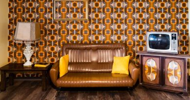 Metz Vintage 2025 : le rendez-vous incontournable des amoureux du rétro - ICI