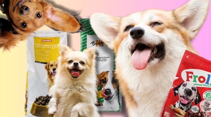 Migros, Coop ou Denner? Voici le top 10 des croquettes pour chien