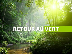 Moins de pluies que prévu : retour au vert pour la Martinique