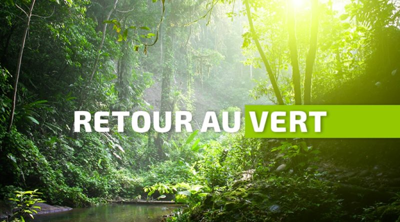 Moins de pluies que prévu : retour au vert pour la Martinique