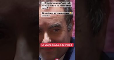 Moins d'impôts et de taxes : réalité ou illusion pour tous ?