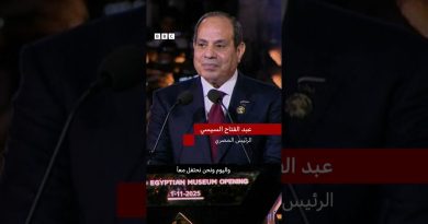 Moments forts de l'inauguration du Grand Musée égyptien