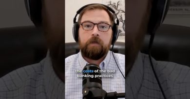 Monnaie Élastique : Socialisation des Pertes, Privatisation des Gains