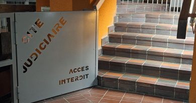 illustration agrandir l