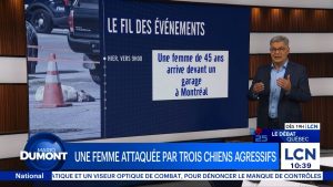 Montréal : Une femme victime d'une attaque par trois chiens
