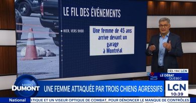 Montréal : Une femme victime d'une attaque par trois chiens