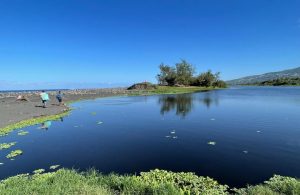 Génération Écologie dénonce une nouvelle pollution à l'Etang du Gol