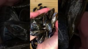 Moules marinières à la française : la recette incontournable 🇫🇷