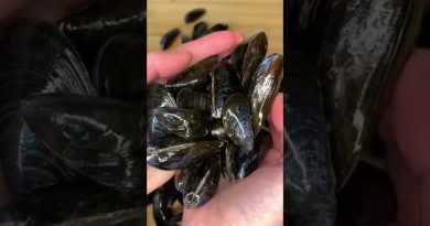 Moules marinières à la française : la recette incontournable 🇫🇷
