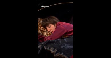 Mrs. Wolowitz : Un personnage unique de The Big Bang Theory