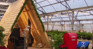 Mulhalls organise une fête de Noël avec les rennes du Père Noël