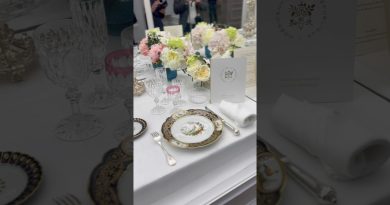 Musée de la Maison Élysée : un voyage artistique à découvrir