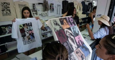 Musique. Concerts, albums, produits dérivés… « Les artistes deviennent des entrepreneurs »