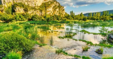 Pays de la Loire, Nantes, Angers, Loire river, castle, vineyard, coast, landscape
