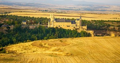 Pays de la Loire, Nantes, Angers, Loire river, castle, vineyard, coast, landscape