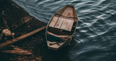 Pays de la Loire, Nantes, Angers, Loire river, castle, vineyard, coast, landscape
