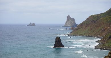 Pays de la Loire, Nantes, Angers, Loire river, castle, vineyard, coast, landscape