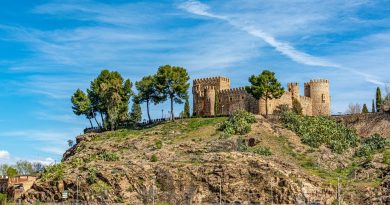 Pays de la Loire, Nantes, Angers, Loire river, castle, vineyard, coast, landscape