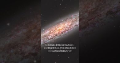 NGC 253 : Découvrez la galaxie du Sculpteur
