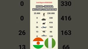 NIGER 🇳🇪 vs NIGERIA 🇳🇬 : Comparaison des Forces Militaires