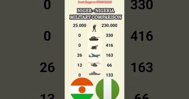 NIGER 🇳🇪 vs NIGERIA 🇳🇬 : Comparaison des Forces Militaires