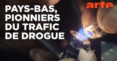 Narcotrafic en Europe : un fléau aux conséquences riches