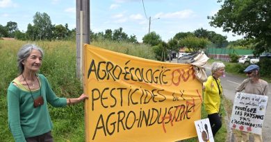 Néonicotinoïdes : "Les alternatives existent, elles sont nombreuses, les agriculteurs ne nous ont pas attendus pour les mettre en place"