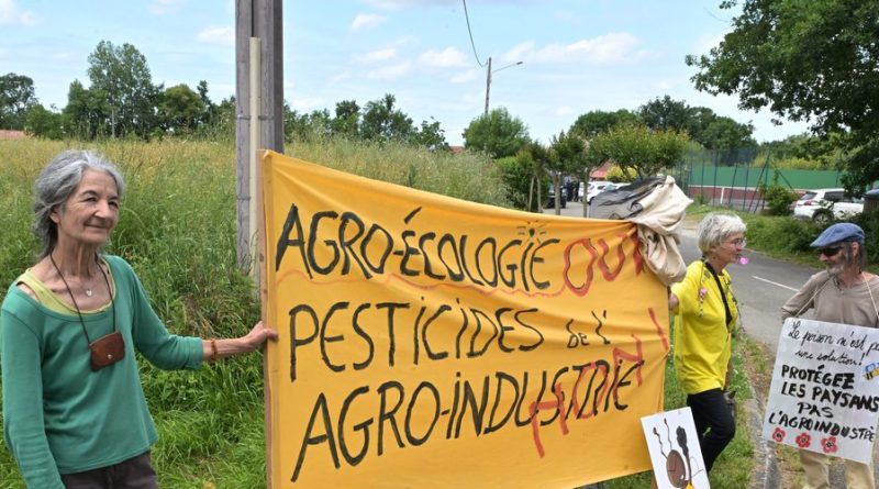 Néonicotinoïdes : "Les alternatives existent, elles sont nombreuses, les agriculteurs ne nous ont pas attendus pour les mettre en place"