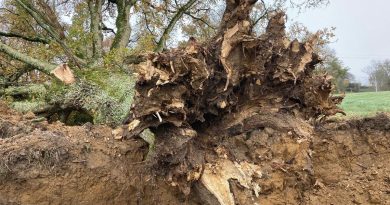 illustration agrandir l