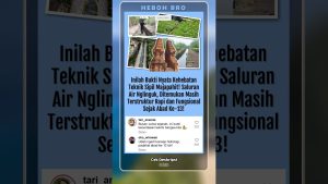 Nglinguk I : Majapahit, une avancée surprenante !