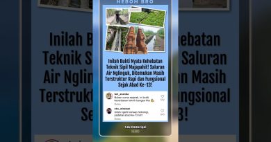 Nglinguk I : Majapahit, une avancée surprenante !