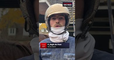 Nicolas Bazire : Entraîneur de Jingle, Quinté à Nantes