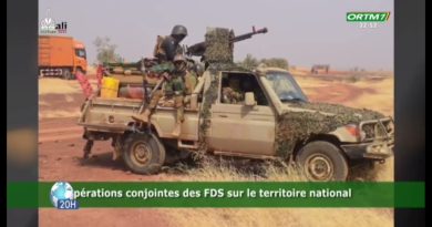 Niger : Actualités sécuritaires du 13 octobre 2025