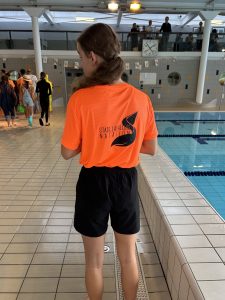 Nouveautés Boutique